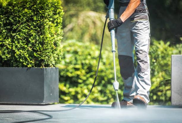 Best Sidewalk and Walkway Cleaning  in Southgate, FL